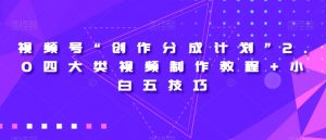 视频号“创作分成计划”2.0四大类视频制作教程+小白五技巧【揭秘】-一起网赚吧