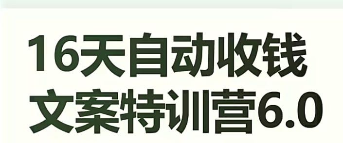 16天自动收钱文案特训营6.0，学会儿每天自动咔咔收钱-一起网赚吧