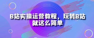 B站实操运营教程，玩转B站就这么简单-一起网赚吧