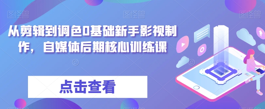 从剪辑到调色0基础新手影视制作，自媒体后期核心训练课-一起网赚吧
