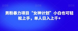 男粉暴力项目“女神计划”小白也可轻松上手，单人日入上千+【揭秘】-一起网赚吧