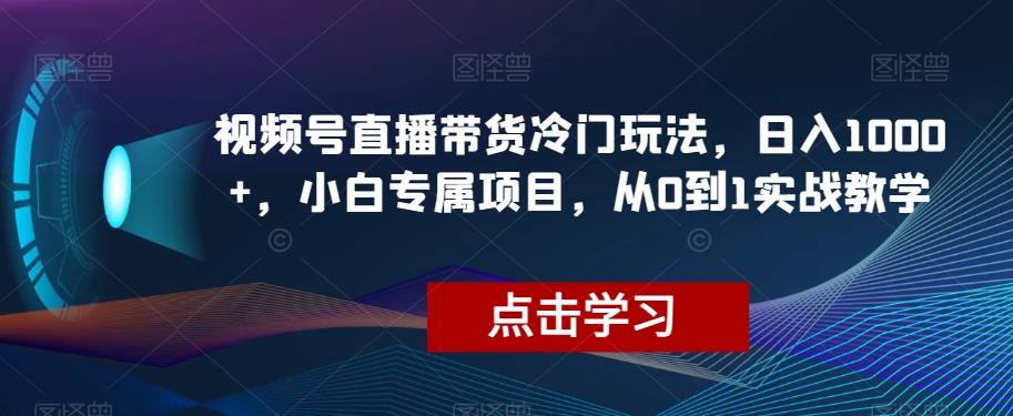 视频号直播带货冷门玩法，日入1000+，小白专属项目，从0到1实战教学【揭秘】-一起网赚吧