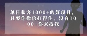 单日获客1000+的好项目，只要你微信扛得住，没有1000+你来找我【揭秘】-一起网赚吧