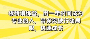 板砖训练营，用一年时间成为专业的人，带你突破行动局限，快速成长-一起网赚吧