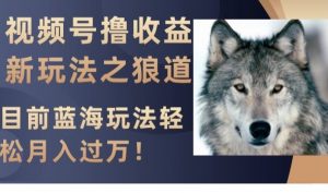 视频号撸收益新玩法之狼道，目前蓝海玩法，轻松月入过万【揭秘】-一起网赚吧