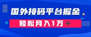 通过国外接码平台掘金：成本1.3，利润10＋，轻松月入1万＋【揭秘】-一起网赚吧