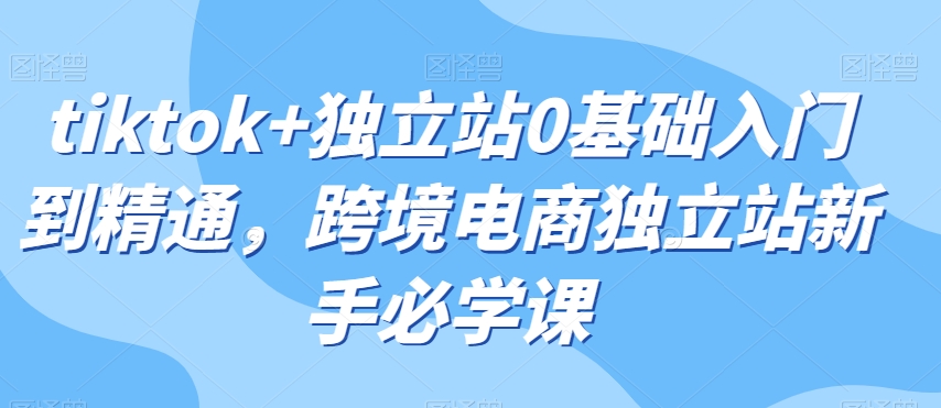 tiktok+独立站0基础入门到精通，跨境电商独立站新手必学课-一起网赚吧