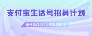 支付宝生活号作者招募计划，单号单月2600，可批量去做，工作室一人一个月轻松1w+【揭秘】-一起网赚吧