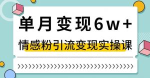 单月变现6W+，抖音情感粉引流变现实操课，小白可做，轻松上手，独家赛道【揭秘】-一起网赚吧