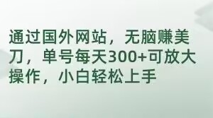 通过国外网站，无脑赚美刀，单号每天300+可放大操作，小白轻松上手【揭秘】-一起网赚吧