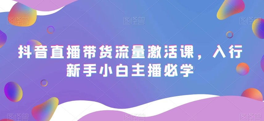 抖音直播带货流量激活课，入行新手小白主播必学-一起网赚吧