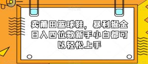 卖莆田篮球鞋，暴利掘金日入四位数新手小白都可以轻松上手【揭秘】-一起网赚吧