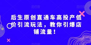 后生原创直通车高投产低价引流玩法，教你引爆店铺流量！-一起网赚吧