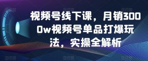 视频号线下课，月销3000w视频号单品打爆玩法，实操全解析-一起网赚吧