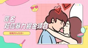 全网首发，揭秘超冷门匿名短信项目，通过信息差日入几百+【揭秘】-一起网赚吧