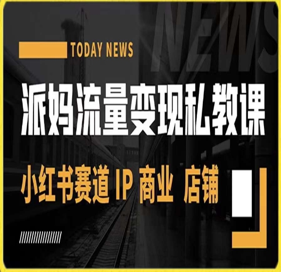 派妈流量变现私教课，小红书赛道IP  商业  店铺 -一起网赚吧