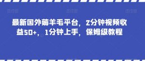 最新国外薅羊毛平台，2分钟视频收益50+，1分钟上手，保姆级教程【揭秘】-一起网赚吧