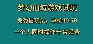 梦幻仙域游戏试玩,免微信玩法,单机40-70,一个人同时操作十台设备【揭秘】-一起网赚吧