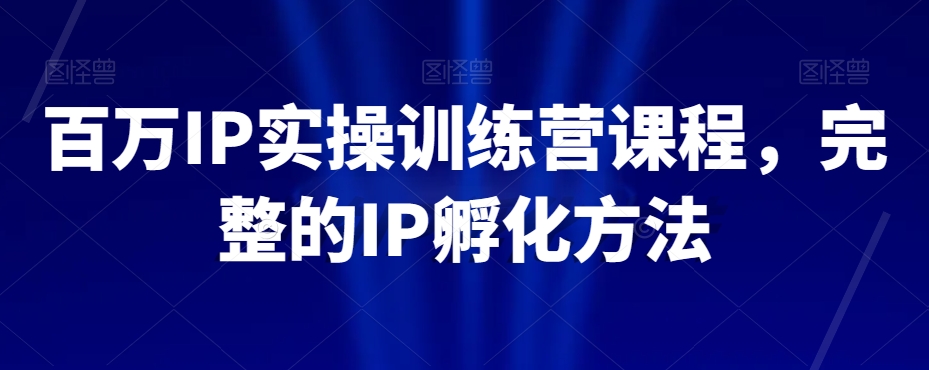 百万IP实操训练营课程，完整的IP孵化方法-一起网赚吧