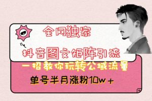 全网独家抖音图文矩阵引流，一招教你玩转公域流量，单号半月涨粉10w+【揭秘】-一起网赚吧