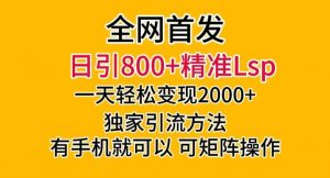 全网首发！日引800+精准老色批，一天变现2000+，独家引流方法，可矩阵操作【揭秘】-一起网赚吧