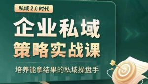 私域2.0时代：企业私域策略实战课，培养能拿结果的私域操盘手-一起网赚吧