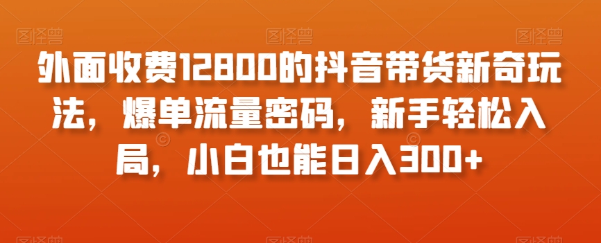 外面收费12800的抖音带货新奇玩法，爆单流量密码，新手轻松入局，小白也能日入300+【揭秘】-一起网赚吧