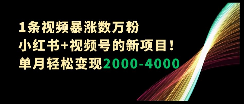 1条视频暴涨数万粉–小红书+视频号的新项目！单月轻松变现2000-4000【揭秘】-一起网赚吧
