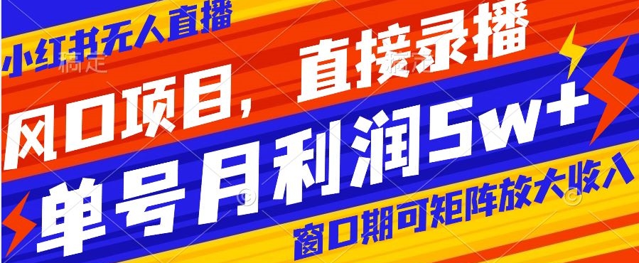 风口项目，小红书无人直播带货，直接录播，可矩阵，月入5w+【揭秘】-一起网赚吧