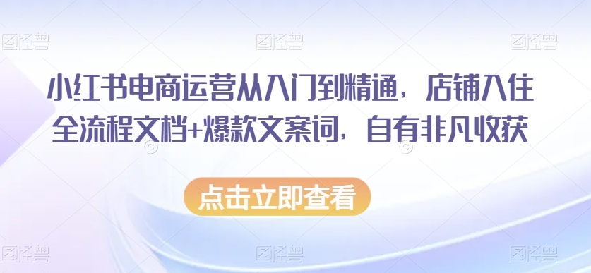 小红书电商运营从入门到精通，店铺入住全流程文档+爆款文案词，自有非凡收获-一起网赚吧