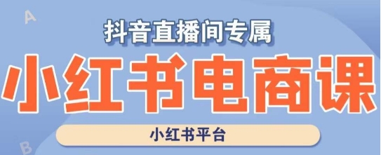 小红书电商高级运营课程，实操教学+案例分析-一起网赚吧
