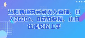蓝海赛道拼多多无人直播，日入2600+，0成本变现，小白也能轻松上手【揭秘】-一起网赚吧