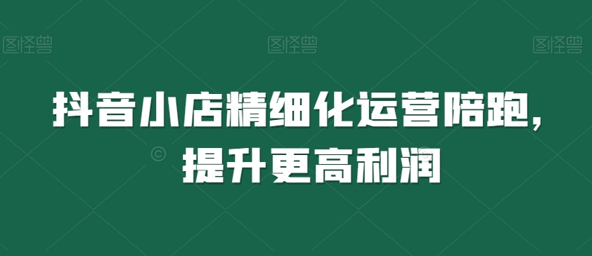 抖音小店精细化运营陪跑，提升更高利润-一起网赚吧