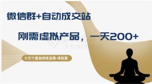 十万个富翁修炼宝典之8.微信群+自动成交站，刚需虚拟产品，一天200+-一起网赚吧