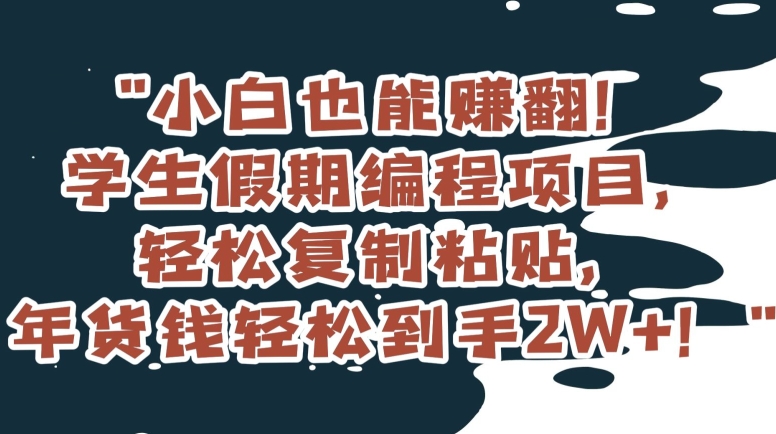小白也能赚翻！学生假期编程项目，轻松复制粘贴，年货钱轻松到手2W+【揭秘】-一起网赚吧