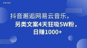 抖音邂逅网易云音乐，另类文案4天狂吸5W粉，日赚1000+【揭秘】-一起网赚吧