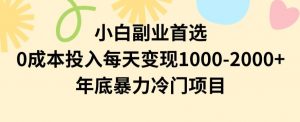 小白副业首选，0成本投入，每天变现1000-2000年底暴力冷门项目【揭秘】-一起网赚吧
