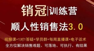 爆款!销冠训练营3.0之顺人性销售法,全方位解决销售难题、可落地、可执行、有结果-一起网赚吧