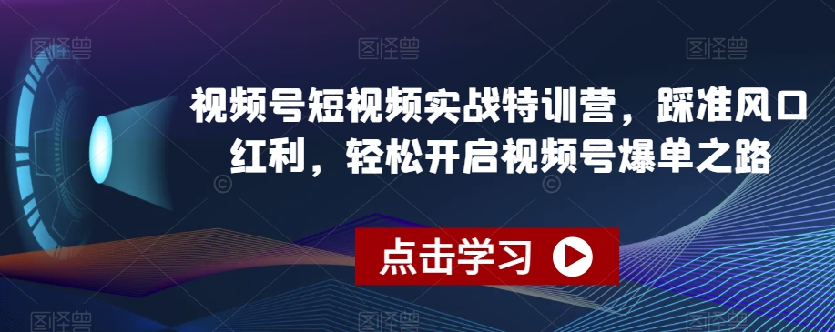 视频号短视频实战特训营，踩准风口红利，轻松开启视频号爆单之路-一起网赚吧