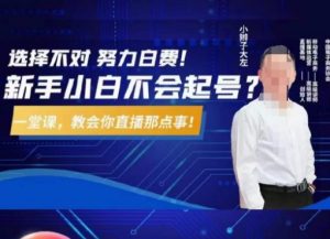 大左教您从0到1做直播带货，选择不对，努力白费，5小时课程搞定那点事，解决你起号问题-一起网赚吧
