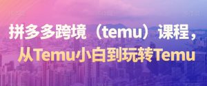 拼多多跨境（temu）课程，从Temu小白到玩转Temu-一起网赚吧