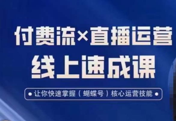 视频号付费流实操课程，付费流✖️直播运营速成课，让你快速掌握视频号核心运营技能-一起网赚吧