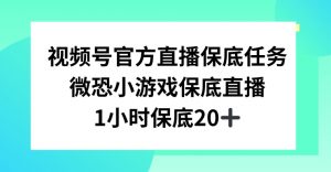 视频号直播任务，微恐小游戏，1小时20+【揭秘】-一起网赚吧