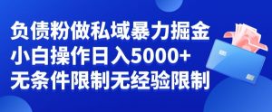 负债粉私域暴力掘金，小白操作入5000，无经验限制，无条件限制【揭秘】-一起网赚吧