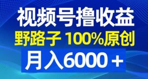 视频号野路子撸收益，100%原创，条条爆款，月入6000＋【揭秘】-一起网赚吧