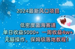 2024最新风口项目，低密度蓝海赛道，单日收益5000+，一周收益4w+！【揭秘】-一起网赚吧