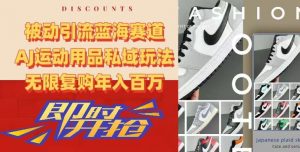 被动引流蓝海赛道，AJ运动用品私域玩法，无限复购年入百万【揭秘】-一起网赚吧