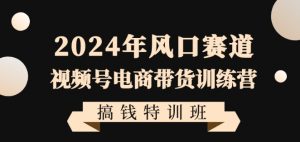 2024年风口赛道视频号电商带货训练营搞钱特训班，带领大家快速入局自媒体电商带货-一起网赚吧