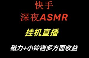 快手深夜ASMR挂机直播，磁力+小铃铛收益（附带工具和5G素材）【揭秘】-一起网赚吧