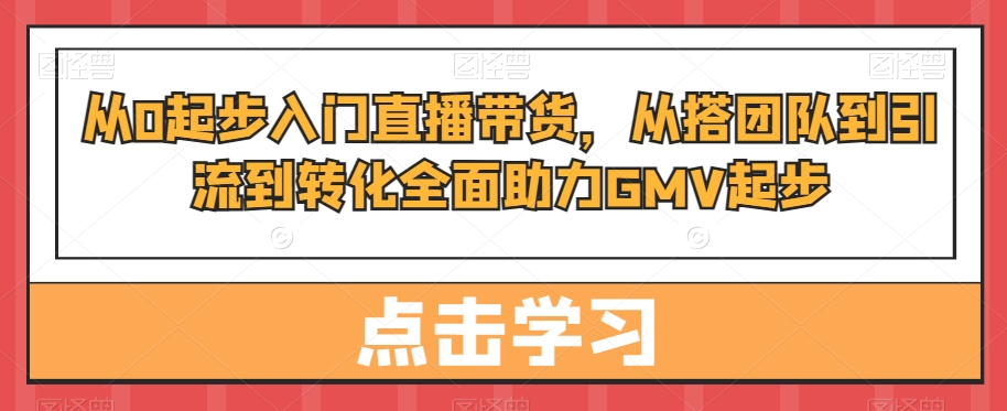 从0起步入门直播带货，​从搭团队到引流到转化全面助力GMV起步-一起网赚吧